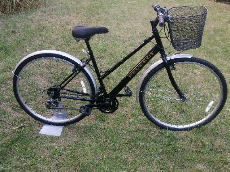 gumtree pashley